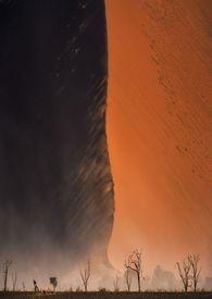 我的美女大小姐刘星在线阅读