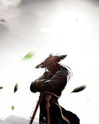 狐美人可以带什么武器